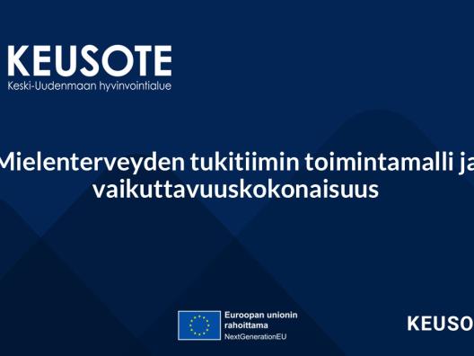 Mielenterveyden tukitiimin toimintamalli ja vaikuttavuuskokonaisuus