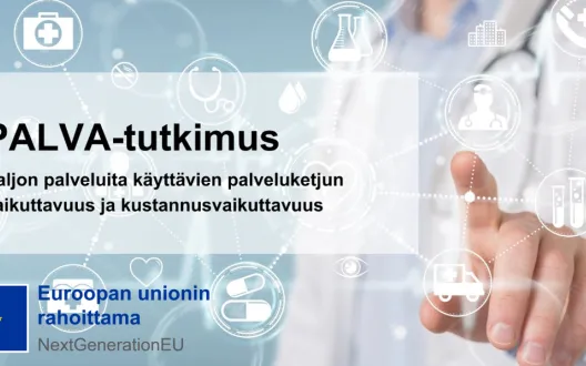PALVA tutkimushanke (RRP3)