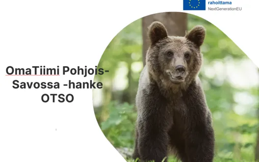 Oma-Tiimi Pohjois-Savossa -hanke (RRP4)