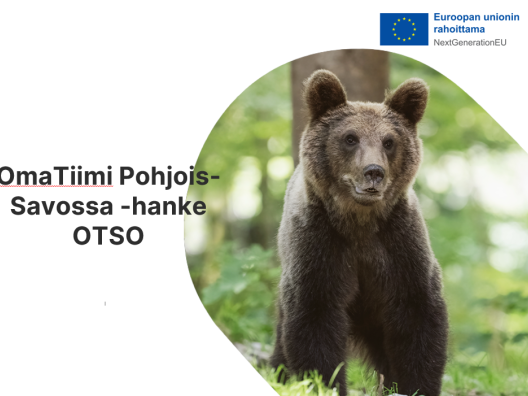 Oma-Tiimi Pohjois-Savossa -hanke (RRP4)