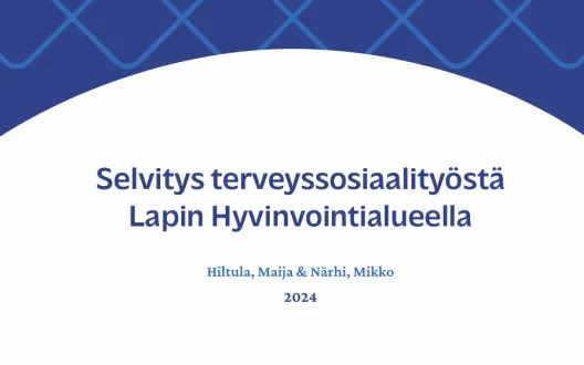 Selvitys terveyssosiaalityöstä, kansikuva