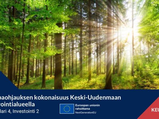 Kansikuva. Elintapaohjauksen kokonaisuus Keski-Uudenmaan hyvinvointialueella. RRP2, Pilari 4, Investointi 2. Euroopan unionin rahoittama.