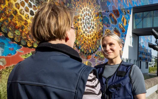 Sosiaalityöntekijä ja sosionomi