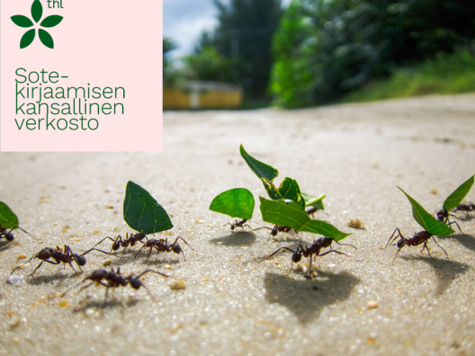kansikuva muurahaiset