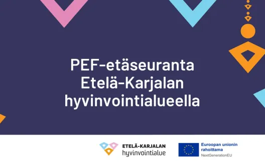 PEF-etäseuranta Etelä-Karjalan hyvivointialueella