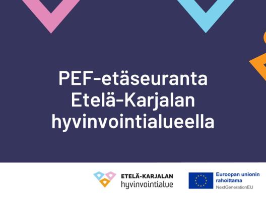 PEF-etäseuranta Etelä-Karjalan hyvivointialueella