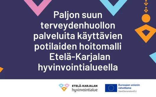 Paljon suun terveydenhuollon palveluja käyttävien hoitomalli Etelä-Karjalan hyvinvointialueella