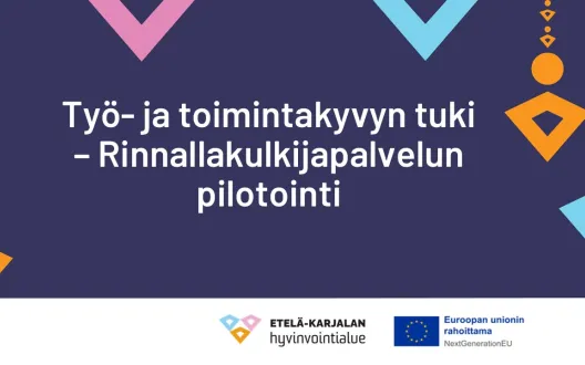 Työ- ja toimintakyvyn tuki, Rinnallakulkijapalvelun pilotointi