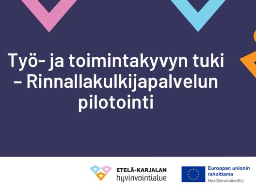 Työ- ja toimintakyvyn tuki, Rinnallakulkijapalvelun pilotointi
