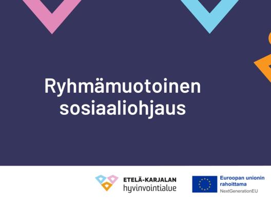 Ryhmämuotoinen sosiaaliohjaus vammaispalveluissa