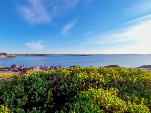 Aurinkoinen merimaisema kallioiselta rannalta katsottuna: etualalla vihreää matalaa kasvillisuutta ja sileitä kallioita, taustalla tyyni sininen meri ja kirkas taivas.