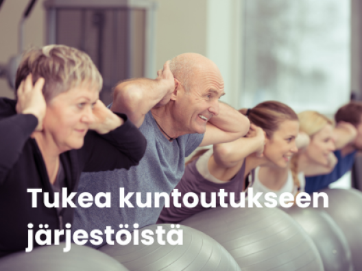 Viisi ihmistä tekee selkälihasliikettä jumppapallojen päällä. 