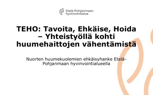 TEHO kansikuva