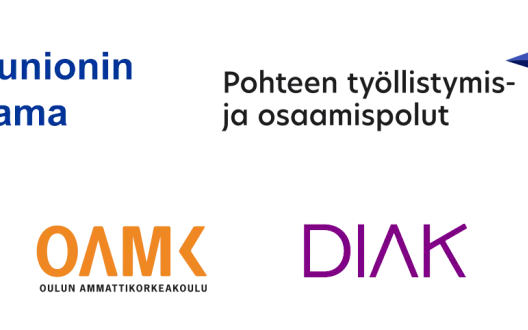 Pohteen työllistymis-ja osaamispolut