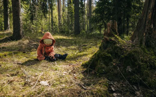 Pieni lapsi istuu metsässä maassa