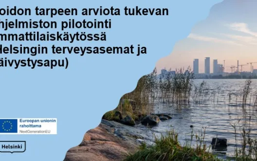Hoidon tarpeen arvio-työkalun pilotointi Helsingin kaupungin terveysasemilla ja päivystysavussa