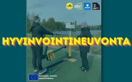 hyvinvointineuvonta
