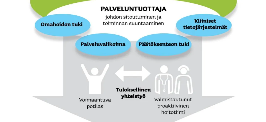 Terveyshyötymalli - Chronic care model (CCM)