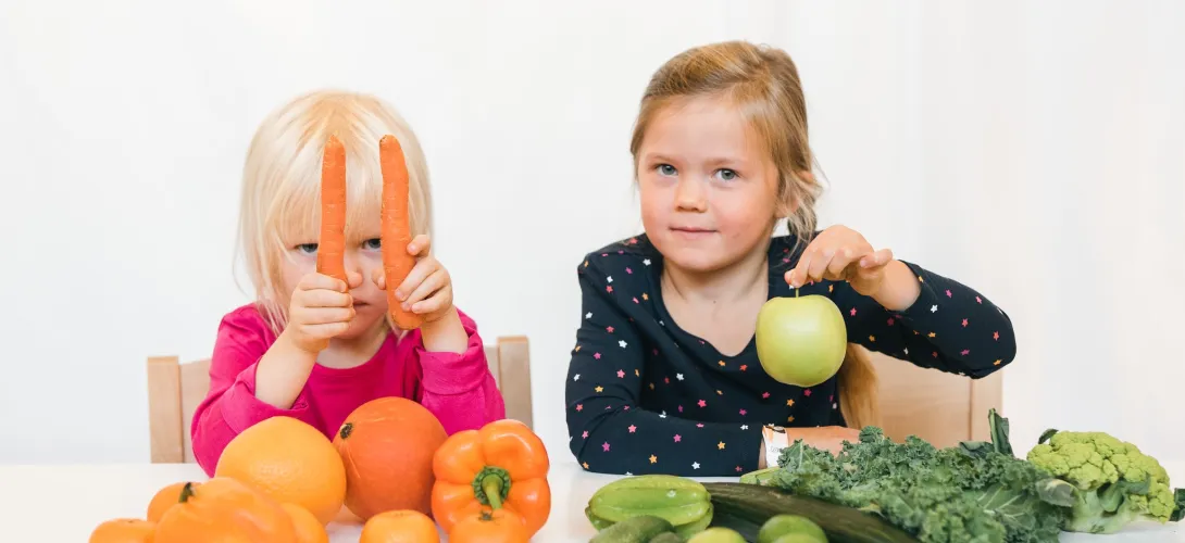 Lasten ruokakasvatuksen verkkopalvelu kasvattajille / Neuvokas perhe
