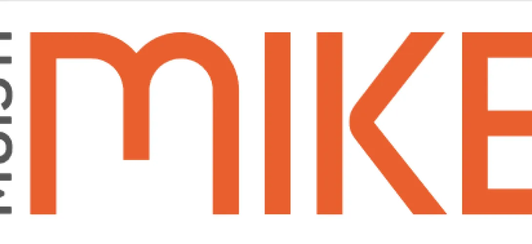 MIKE-arvioinnin ja seurannan työväline muistityön ammattilaisille