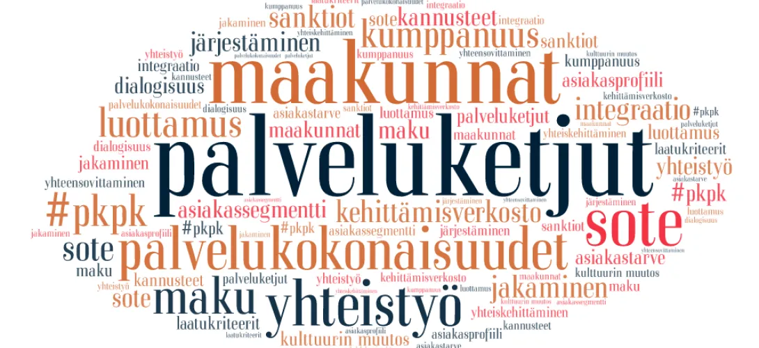 Palvelukokonaisuuksien ja -ketjujen kehittämisverkosto (PKPK-verkosto)