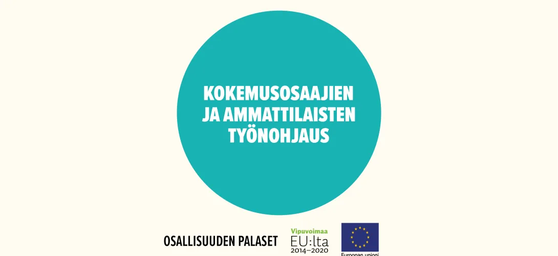 Kokemusosaajien ja ammattilaisten työnohjaus