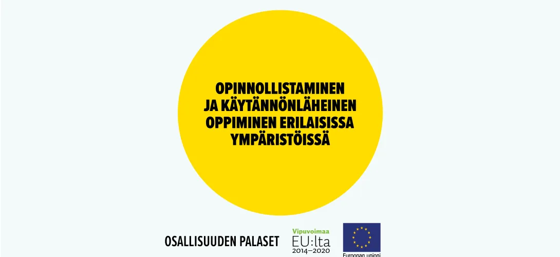 Opinnollistaminen ja käytännönläheinen oppiminen erilaisissa ympäristöissä
