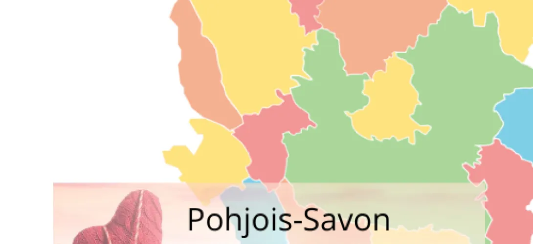 Pohjois-Savon Järjestöstrategia. Paikallinen järjestötieto järjestöstrategiaksi.