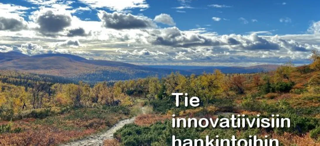 Keep it simple - Get is smart,  innovaatiomyönteinen hankintatoimi