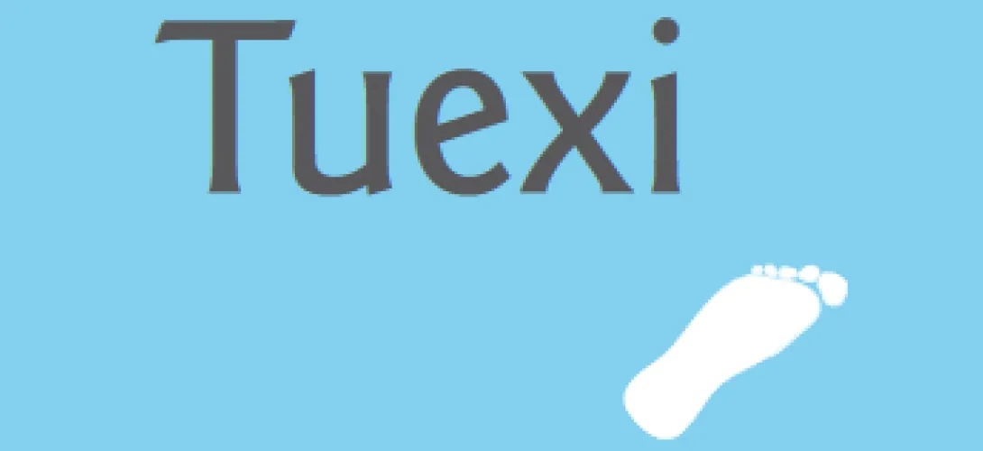 TUEXI-hanke (2007-2010)