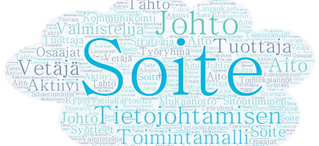 Soiten tietojohtamisen toimintamalli