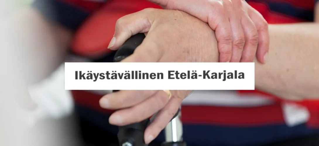 Etelä-Karjalan kaatumisen ehkäisy -malli