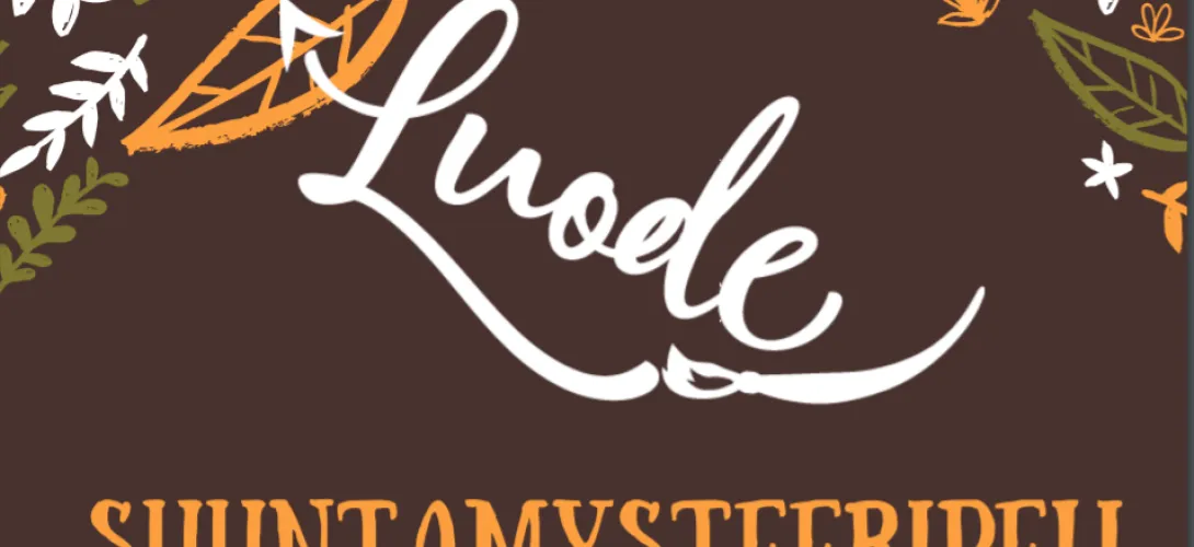 Luode -hanke: Suuntamysteeripeli