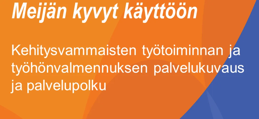 Kehitysvammaisten työtoiminta ja työhönvalmennus / Palvelukuvaus ja palvelupolku, Meijän kyvyt käyttöön -hanke
