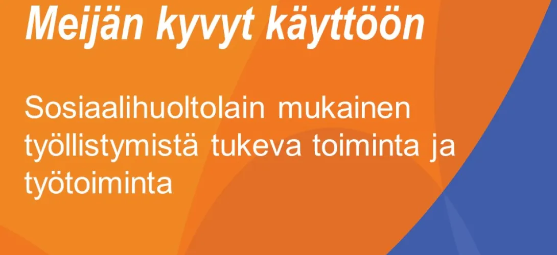 Sosiaalihuoltolain mukainen työllistymistä tukeva toiminta ja työtoiminta / Palvelukuvaus ja palvelupolku,  Meijän kyvyt käyttöön -hanke