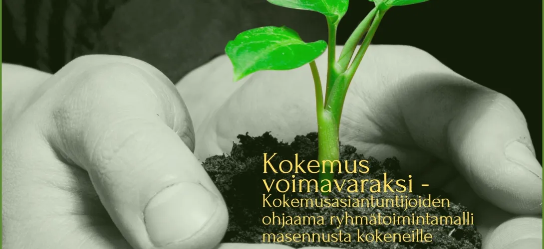 Kokemus voimavaraksi - Kokemusasiantuntijoiden ohjaama ryhmätoimintamalli masennuksesta toipuville     