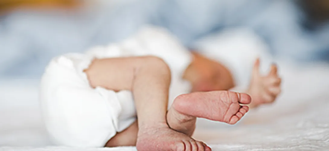 Päiväperho - Päihde- ja riippuvuusongelmista kärsivien raskaana olevien ja pikkulapsiperheiden maakunnallinen tuki ja palvelukokonaisuus 
