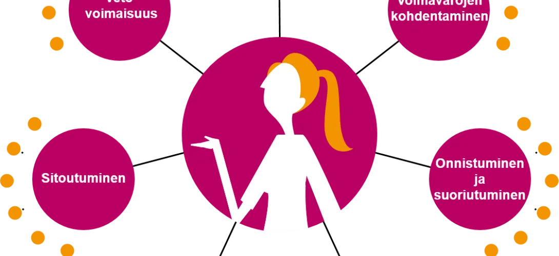 Henkilöstövoimavarojen tiedolla johtamisen kehittäminen