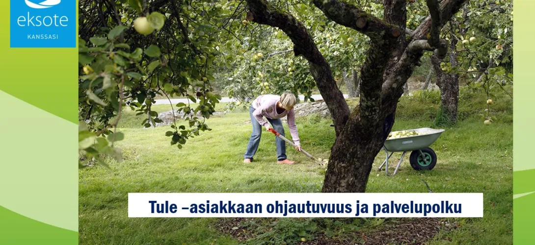 Tule-asiakkaan palvelupolku, oikeat asiakkaat oikealle ammattilaiselle