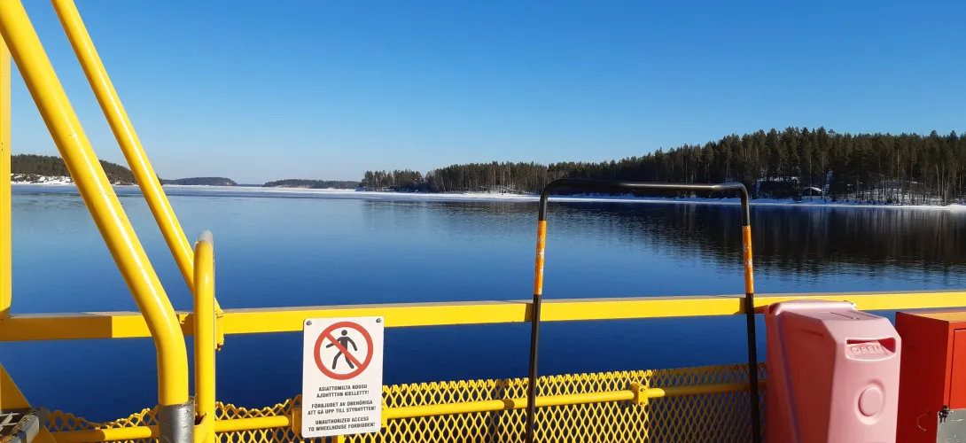 Etelä-Savo: Tulevaisuus kotona -hanke