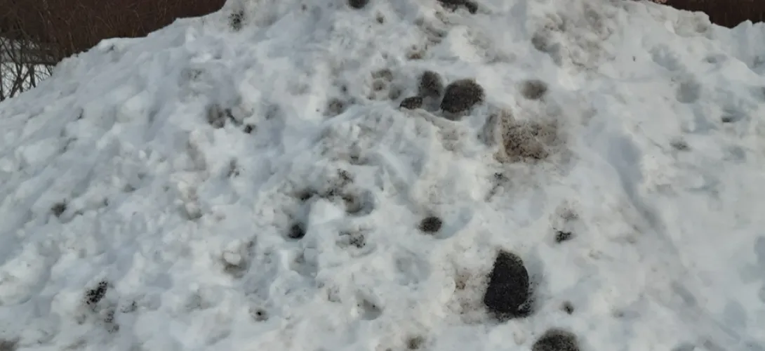Suun terveydenhuollon Huolitiimin toimintamalli