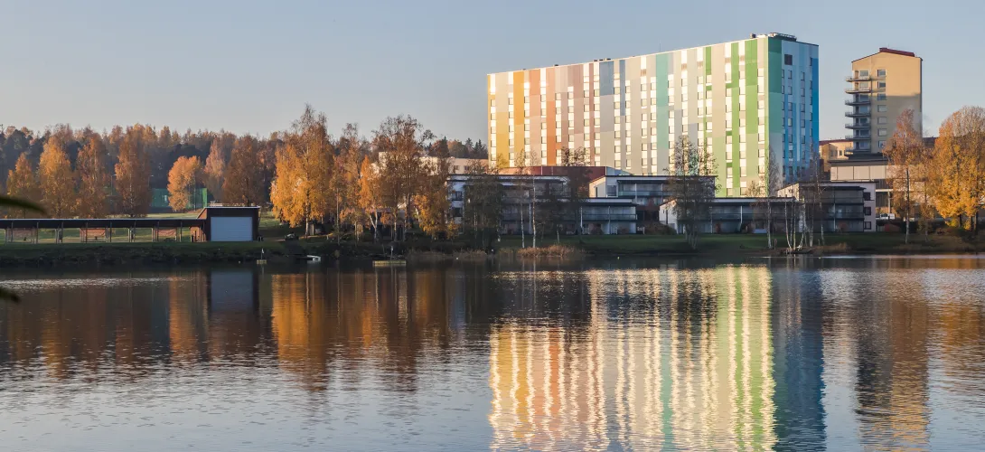 Perusterveydenhuollon pitkäaikaissairaan hoitopolku Etelä-Karjalassa