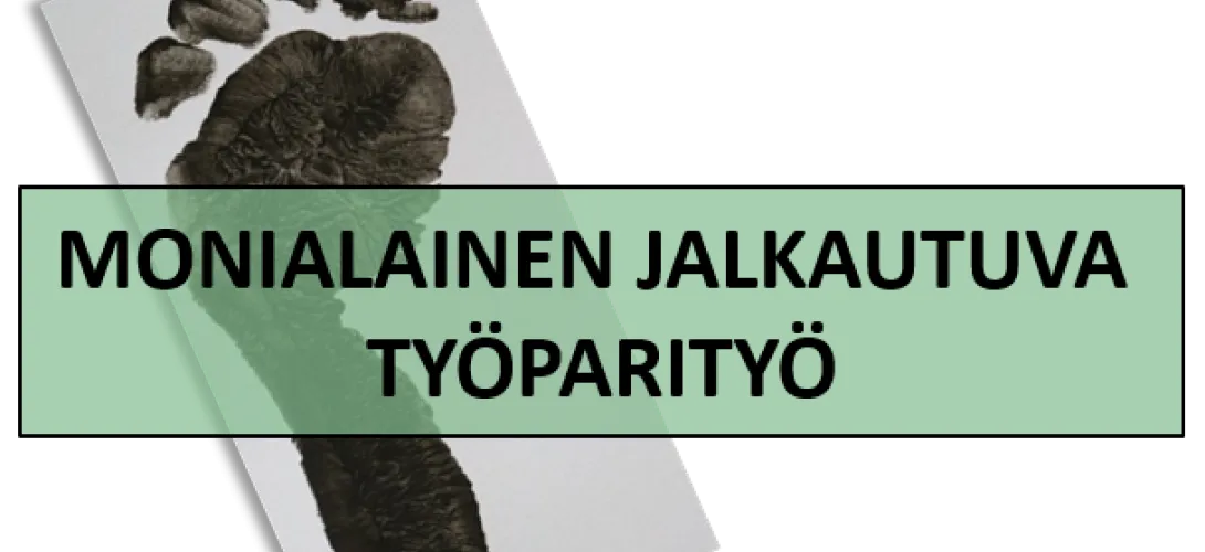 Monialainen jalkautuva työparityö
