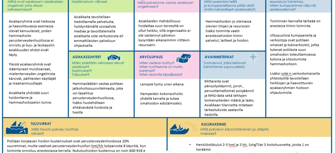 Anestesiahammashoito perusterveydenhuollossa selvitys