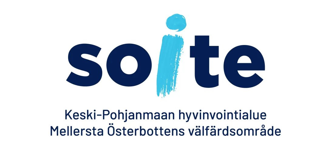 AVAIN-mittarin hyödyntäminen Soiten aikuissosiaalityössä