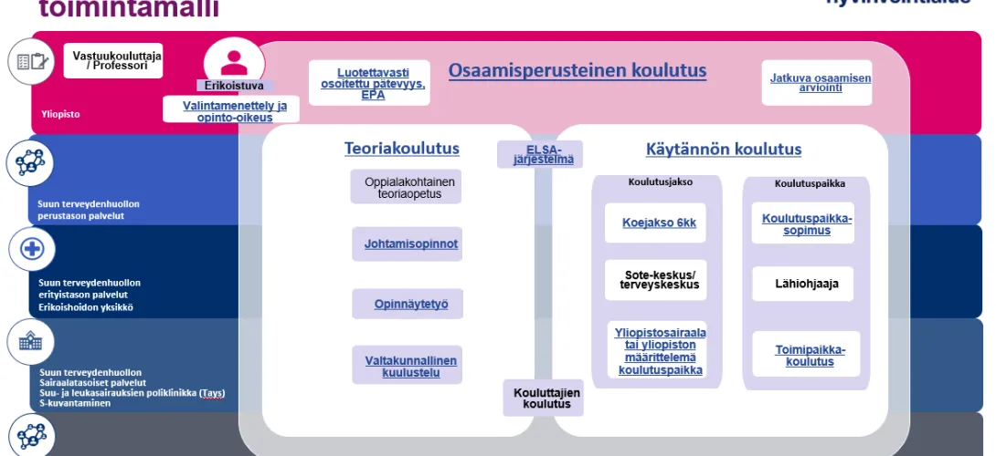 Erikoishammaslääkärikoulutuksen järjestämisen toimintamalli Pirkanmaan hyvinvointialueella