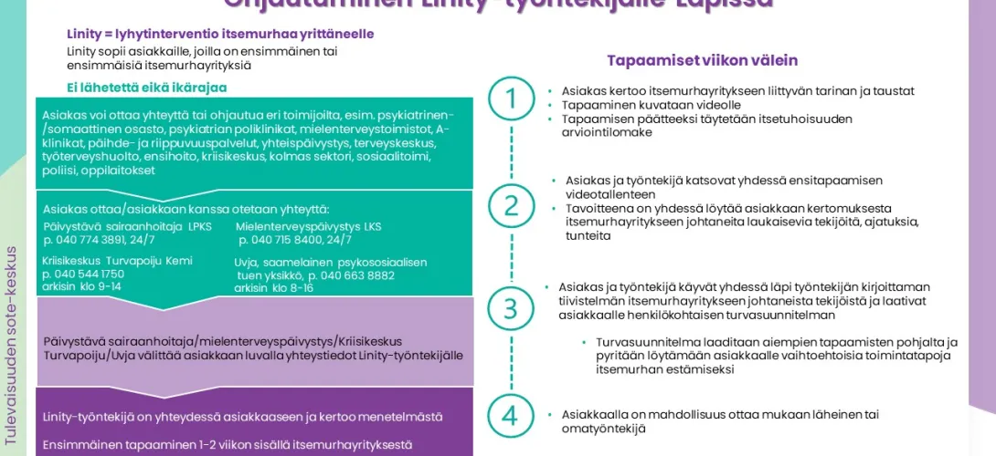 Ohjautuminen Linity-työntekijälle Lapissa