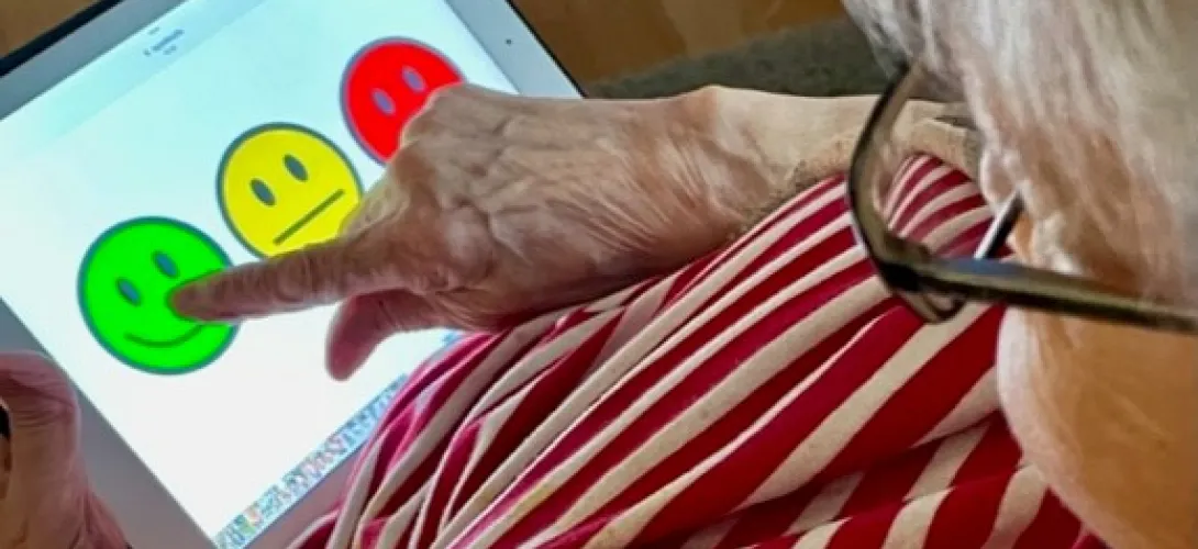 Palvelujen laadun varmistaminen - V-S hyvinvointialueen eli  Varhan ikääntyneiden kotona asumista tukevien palvelujen asiakas- ja läheispalaute