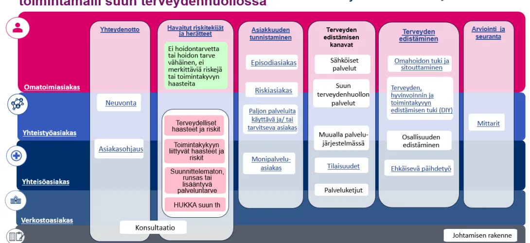 Aikuisten ja nuorten terveyden edistämisen toimintamalli suun terveydenhuollossa