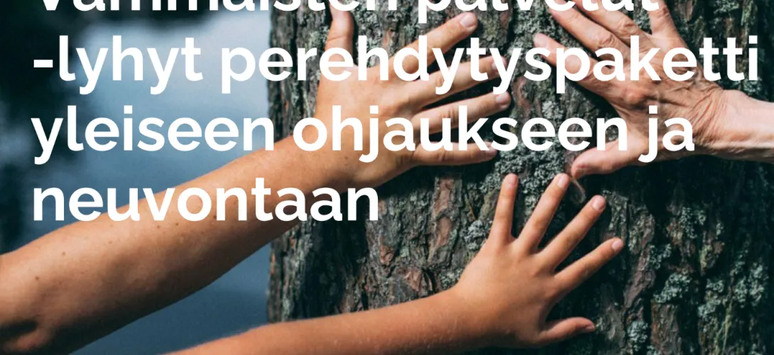 Vammaispalvelun perehdytyspaketti sote-ammattilaisille